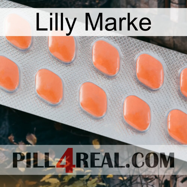 Lilly Brand 26